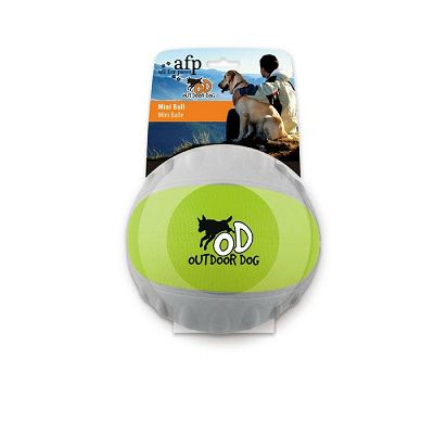 All for Paws Outdoor Dog - Mini Ball Green