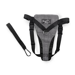 All for Paws prsnik za psa L