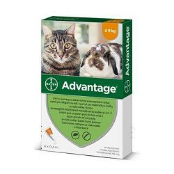 Bayer Advantage 40mg za male mačke i kuniće težine do 4kg - 1 ampula