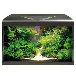 Croci akvarij 60 LED 60x32x42cm 60 litara crni