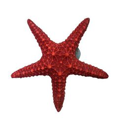 Dekoracija morska zvijezda za akvarij crvena