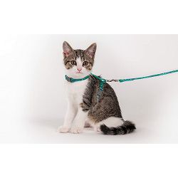 Karlie prsnik i povodac za macice 10mm 120cm