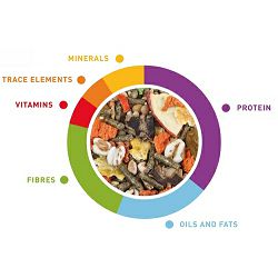 padovan-grandmix-cavie-hrana-za-zamorce-i-cincile-850g-93823-8001254001906_2.jpg