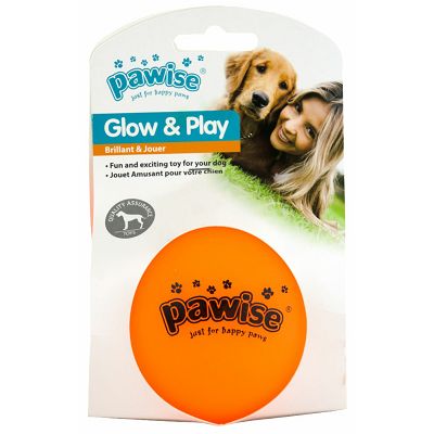 Pawise Glow n Play lopta igračka za psa S