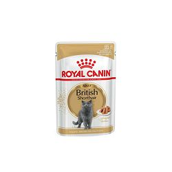 Royal Canin British Shorthair hrana za mačke 85g