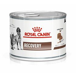 Royal Canin V Diet Recovery medicinska hrana za pse i mačke 195g