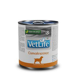 VetLife Convalescence hrana za pse 300g