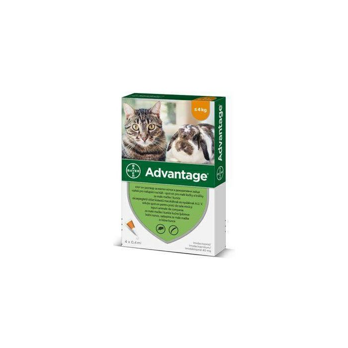 Bayer Advantage 40mg za male mačke i kuniće težine do 4kg - 1 ampula