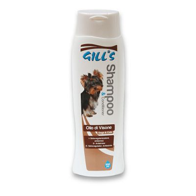 Croci Gill's / Šampon sa kondicionerom 200ml
