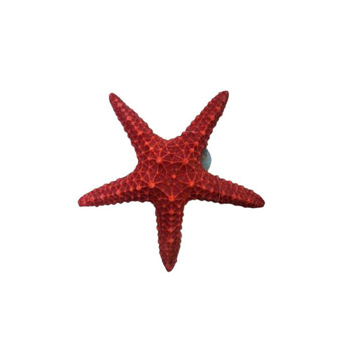 Dekoracija morska zvijezda za akvarij crvena
