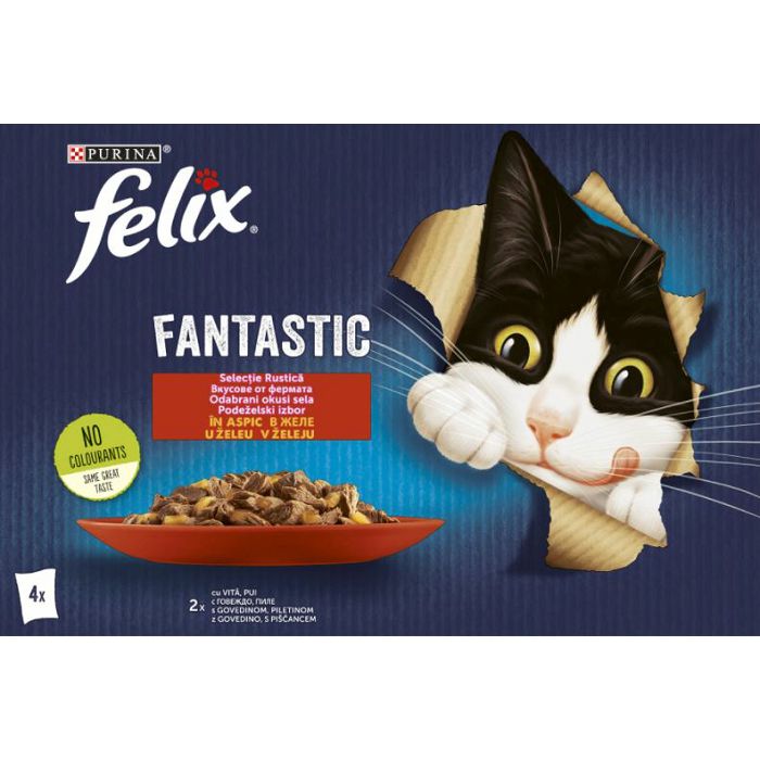 Felix Fantastic hrana za mačke govedina i piletina u želeu 4x85g