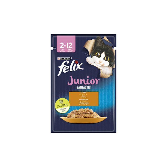 Felix Junior Fantastic s piletinom u želeu 85g